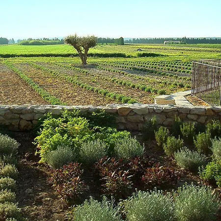 Maison Chenet - Les Entre Vigne Et Garrigue - Teritoria Nocleg ze śniadaniem
