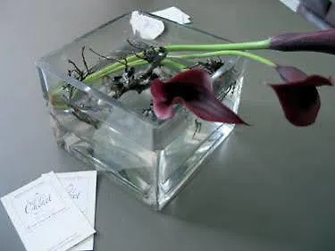 Maison Chenet - Les Entre Vigne Et Garrigue - Teritoria 4* Pujaut